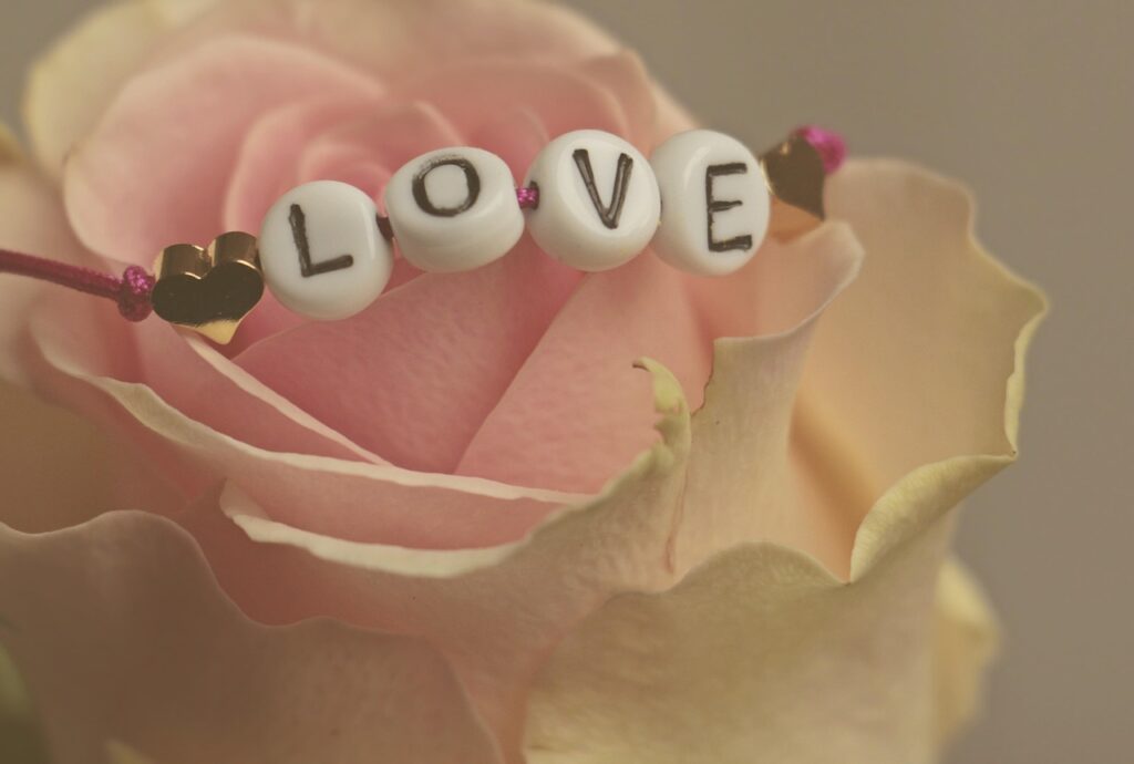 flower, rose, love, happy valentines day, feelings, romantic, happiness, valentine's day, in love, nature, rose flower, flower wallpaper, flower background, beautiful flowers, affection, connectedness