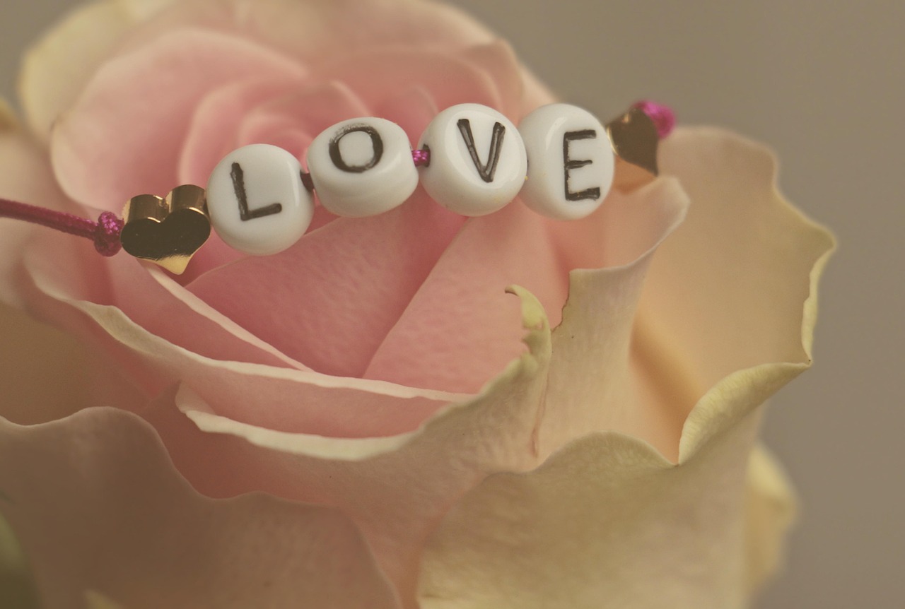 flower, rose, love, happy valentines day, feelings, romantic, happiness, valentine's day, in love, nature, rose flower, flower wallpaper, flower background, beautiful flowers, affection, connectedness